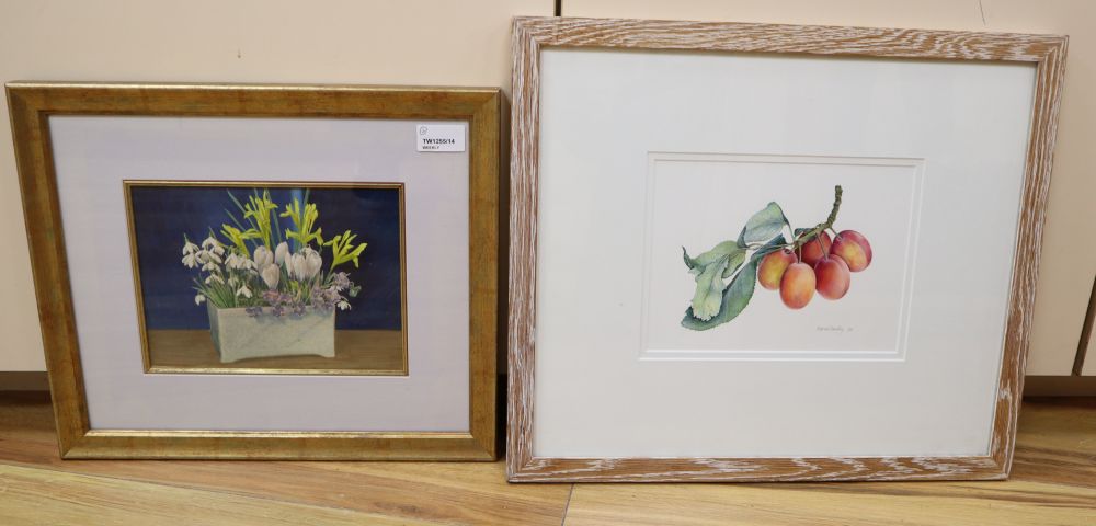 Marian Tumelty VPRMS (Contemporary), Still life of plums on a branch, signed and dated 92, and another watercolour